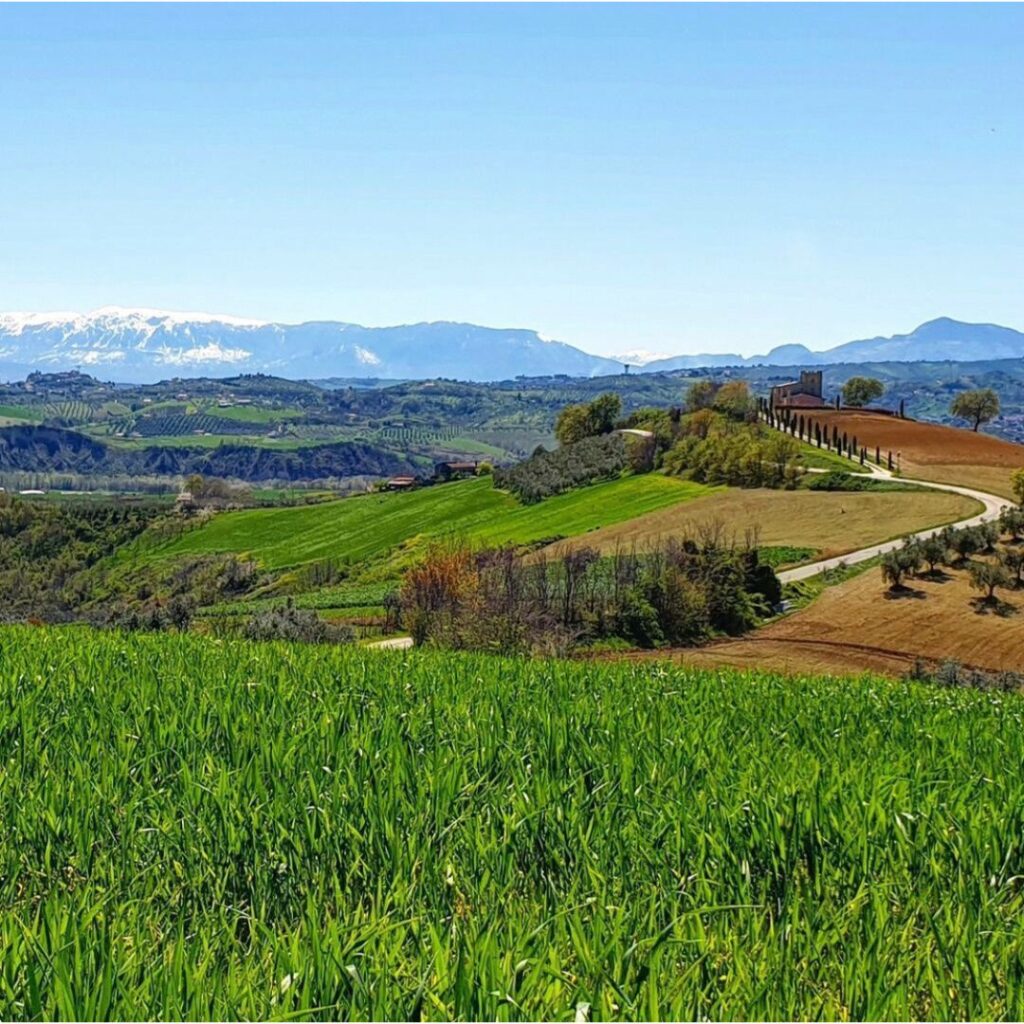 Elevated view of a flower-lined street in an Abruzzo coastal town, with red-tiled roofs, passing cars, and distant Adriatic Sea horizon under sunny skies – perfect for relaxed escapes in Italy's undiscovered regions