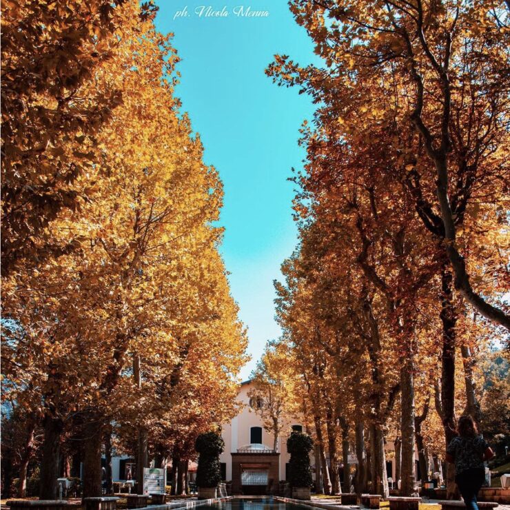 Viale di alberi autunnali a Caramanico Terme borgo più bello vicino a Pescara Parco Nazionale della Maiella Abruzzo Italia