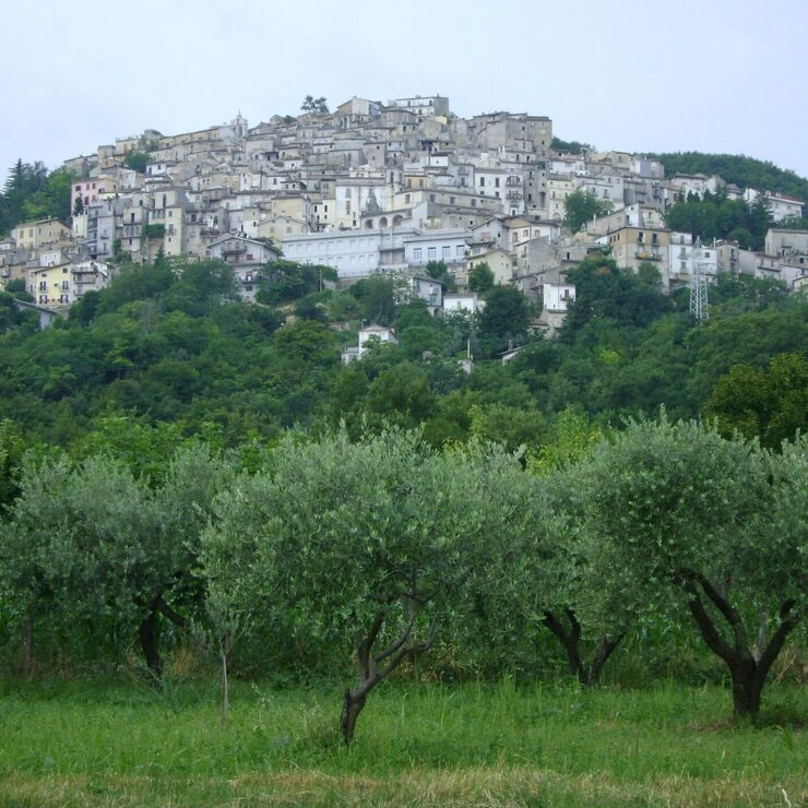 Vista di Pretoro arroccato su una collina alberata, visto da uliveti in primo piano sotto un cielo nuvoloso