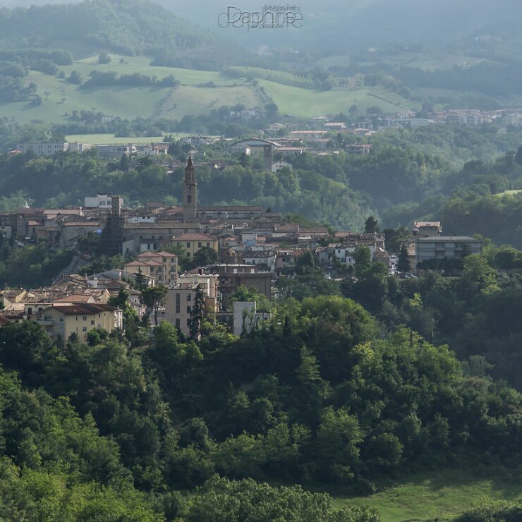 Aerial view of Campli surrounded by green rolling hills and forest in the Teramo province of Abruzzo, with the town's bell tower rising above the rooftops