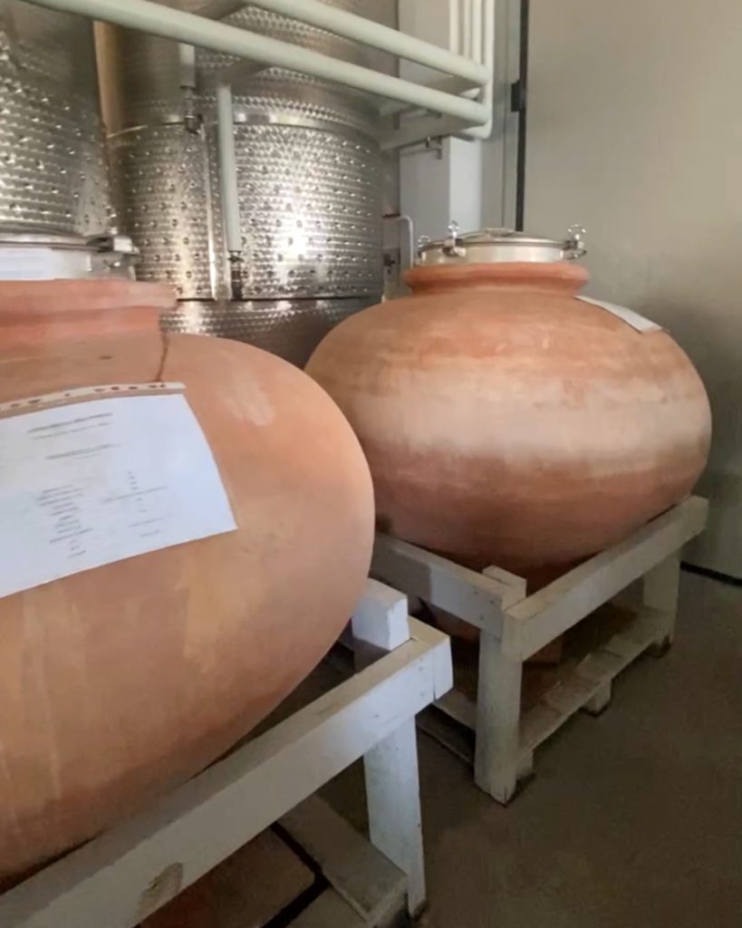 Amphora Abruzzo