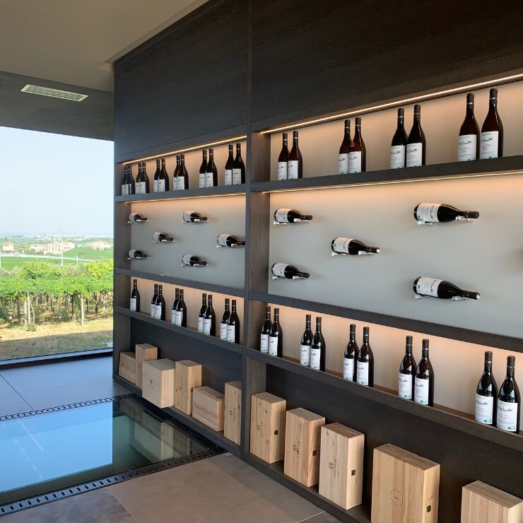 Feudo Antico wine tasting room with vineyard views Tollo Chieti Abruzzo Italy