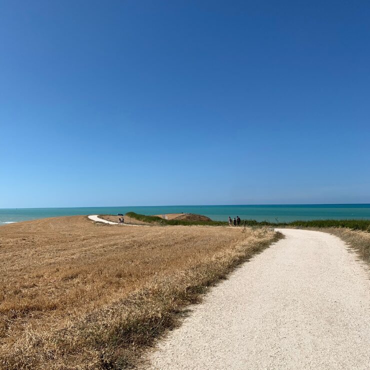 Un sentiero di ghiaia bianca che serpeggia tra campi dorati verso il mare Adriatico turchese sotto un cielo azzurro limpido in Abruzzo