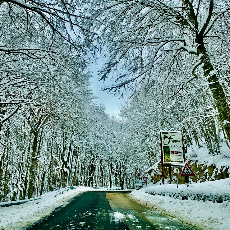 Snow-covered road through beech forest on the way to Paso Lanciano La Maiella Abruzzo