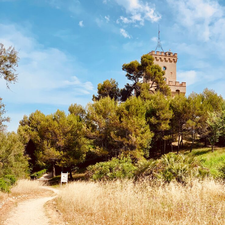 Path leading to Torre di Cerrano marine protected area Abruzzo Italy through pine forest