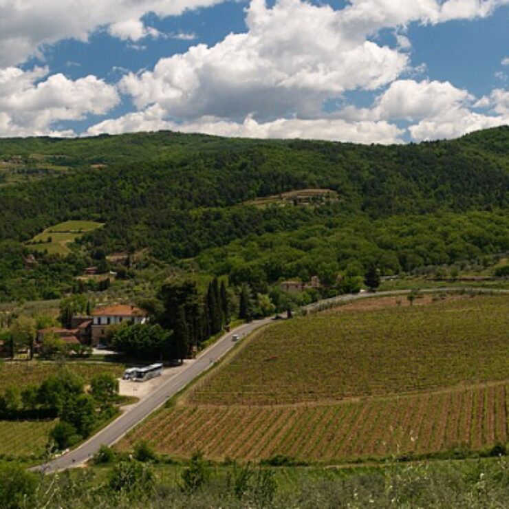 Panoramic view of rolling Chianti vineyard hills in Tuscany Italy with cypress trees and olive groves