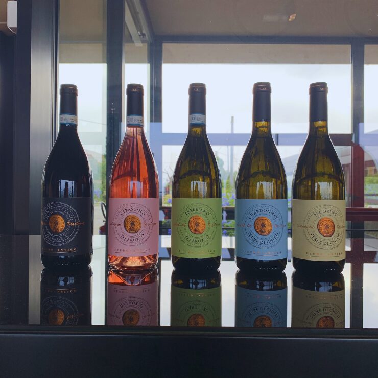 Panoramic view of rolling Chianti vineyard hills in Tuscany Italy with cypress trees and olive groves