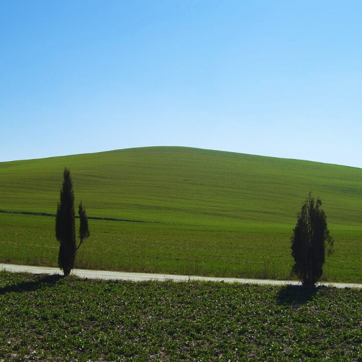 Rolling hills and cypress trees of Val d'Orcia UNESCO landscape near Pienza in Tuscany Italy