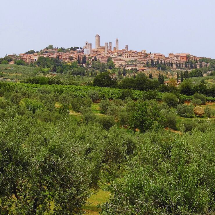 Panoramic view of San Gimignano medieval towers rising above the Tuscan hillside landscape Italy